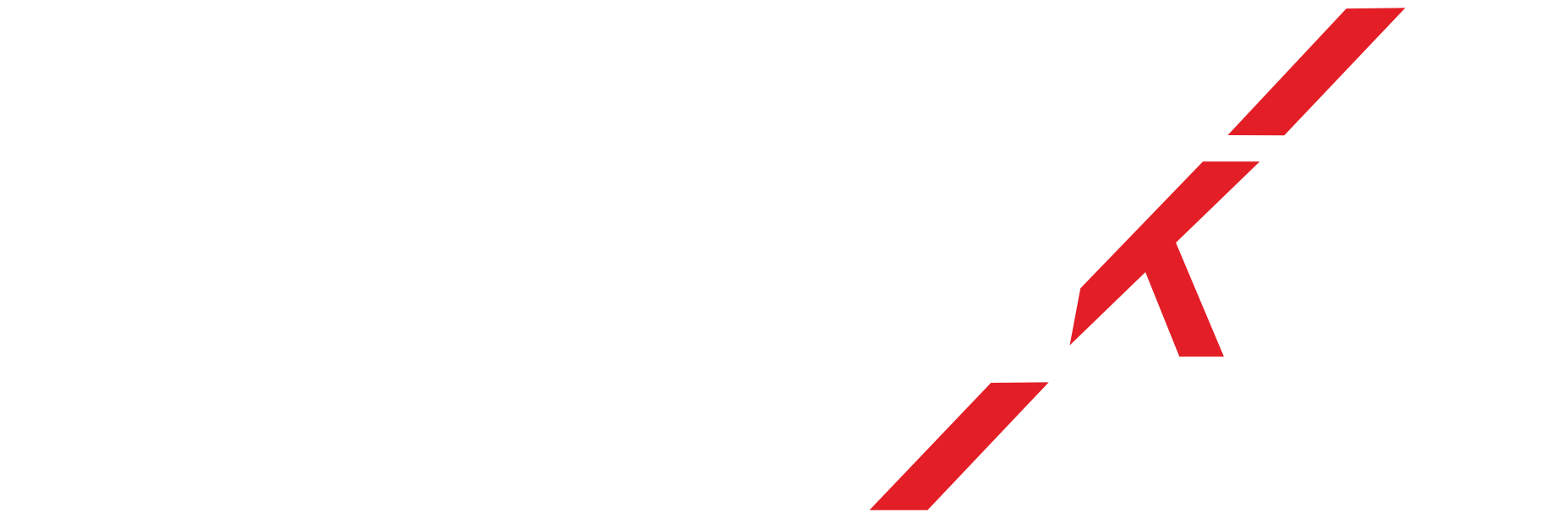 Skyworker-Montageservice GmbH & Co. KG logo